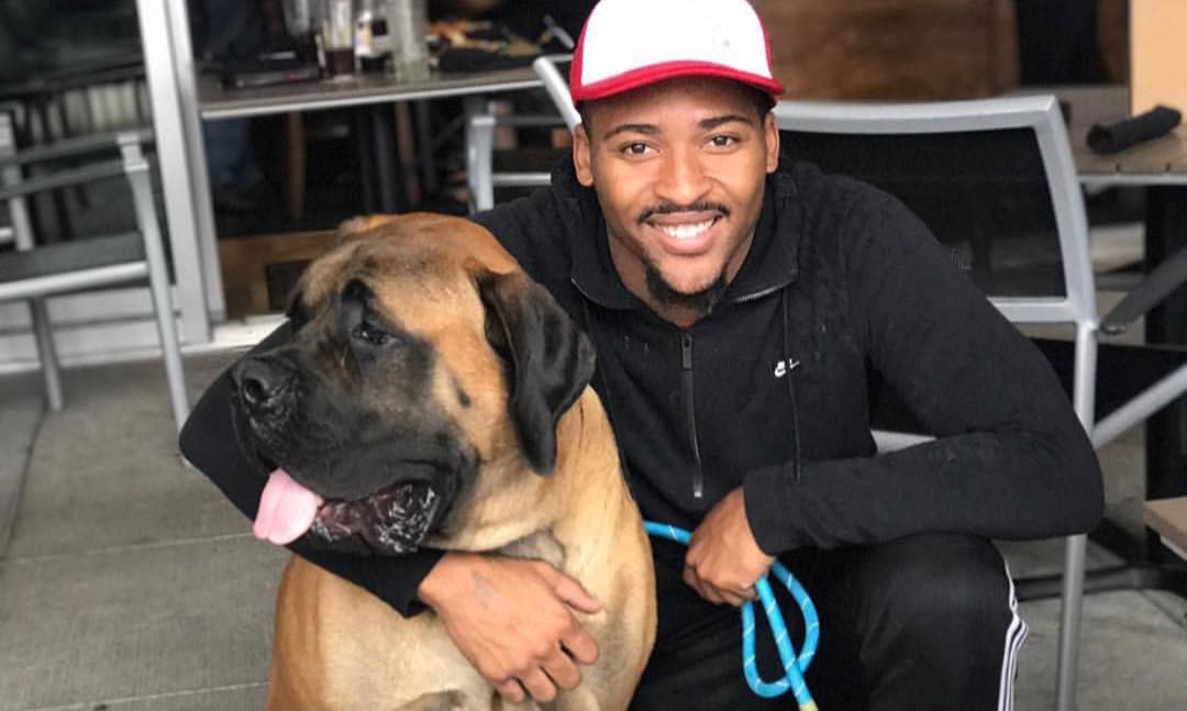 Dog-Friendly Patio at Bru Burger Bar in Plainfield