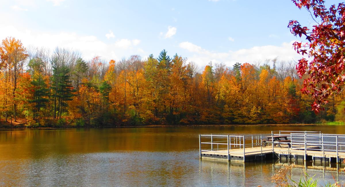 Echo Hollow Nature Park
