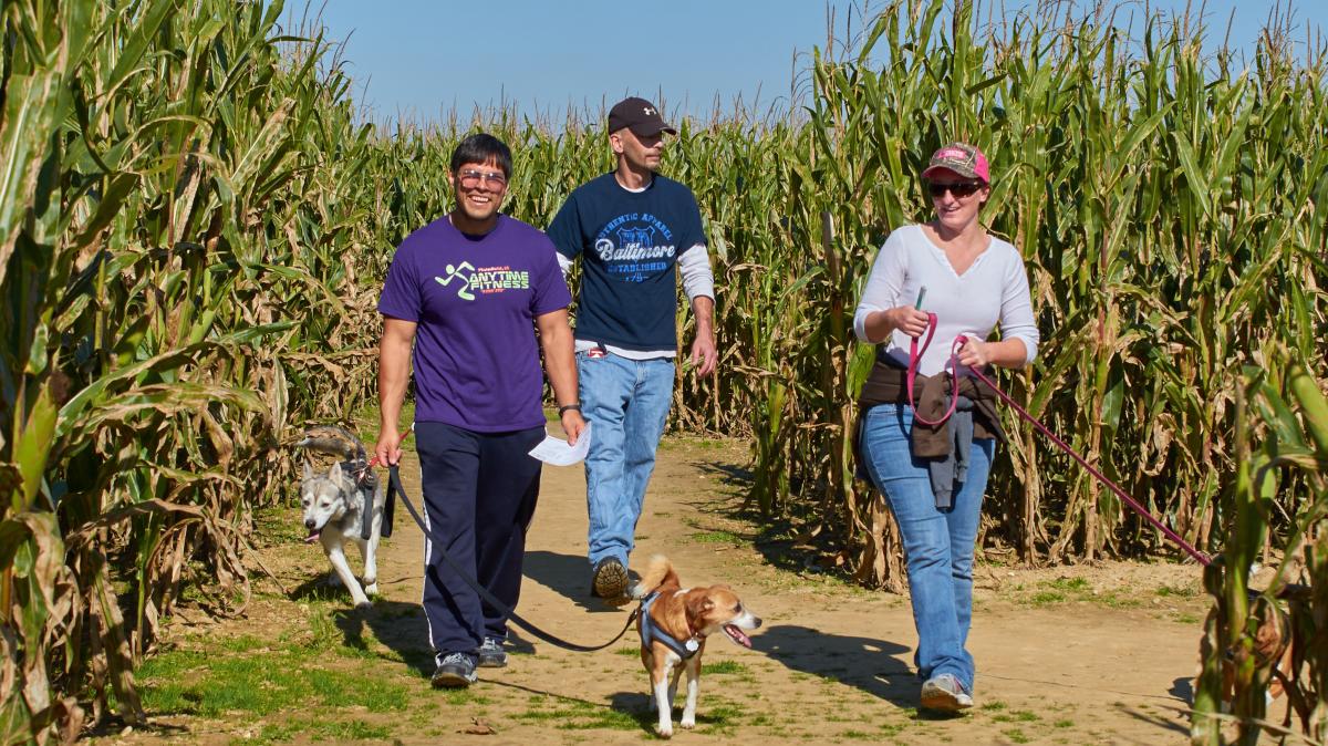 Dog Daze at the Maze