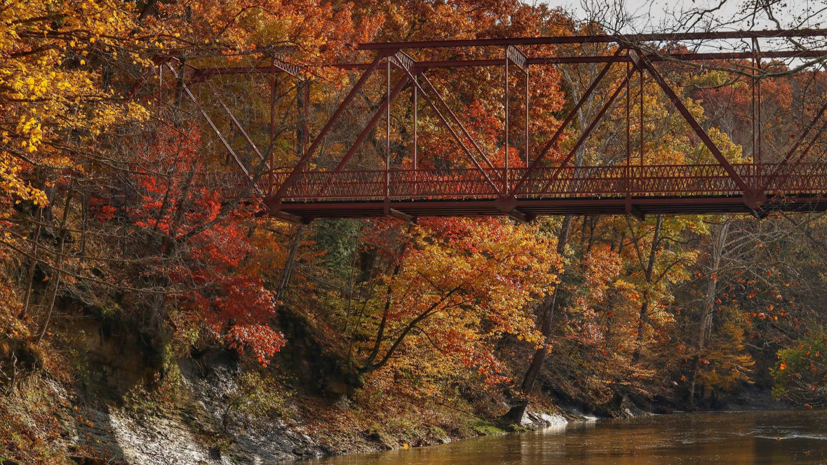 The fall foliage at McCloud Nature Park is spectacular. (Photo by Deb Stukenborg)