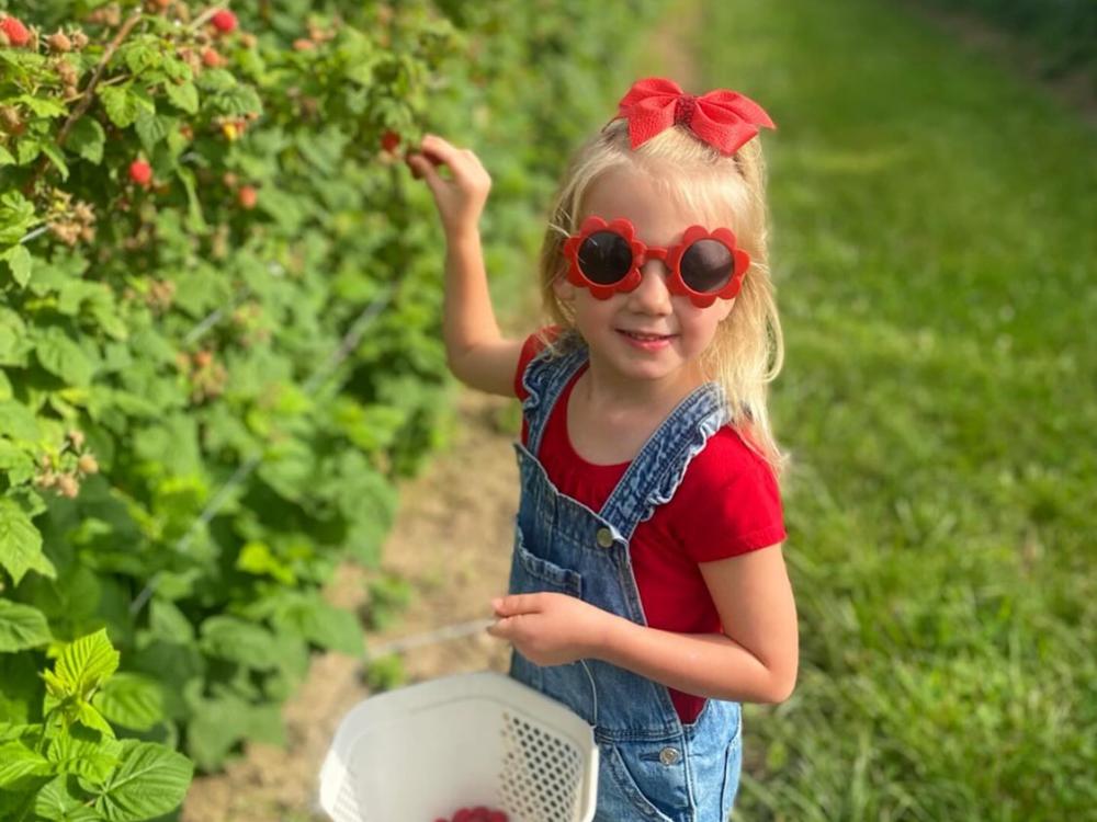 Beasley's Orchard Raspberry Picking