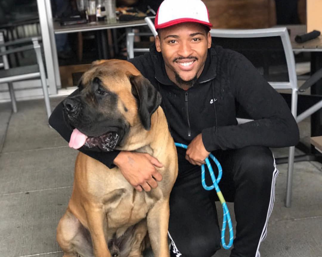 Dog-Friendly Patio at Bru Burger Bar in Plainfield