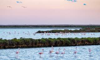 Parque Natural de Ses Salines