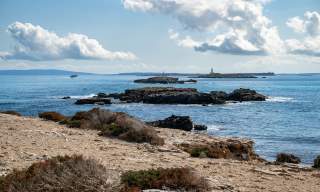 Islotes de Es Freus (S’Espalmador, S’Espardell y Es Penjants)
