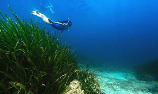 Percursos de mergulho em snorkel Sant Antoni de Portmany