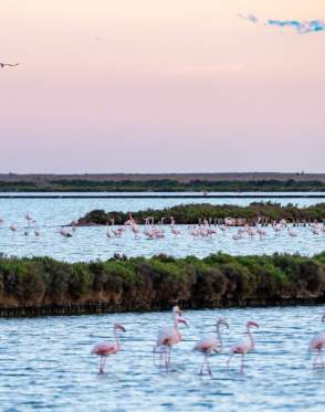 Parque Natural de Ses Salines