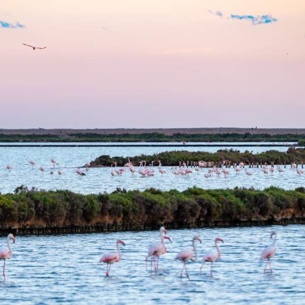 Parque Natural de Ses Salines