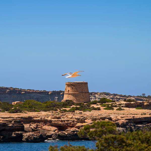 Torre d’en Rovira