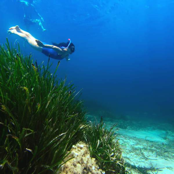 Percursos de mergulho em snorkel Sant Josep de Sa Talaia