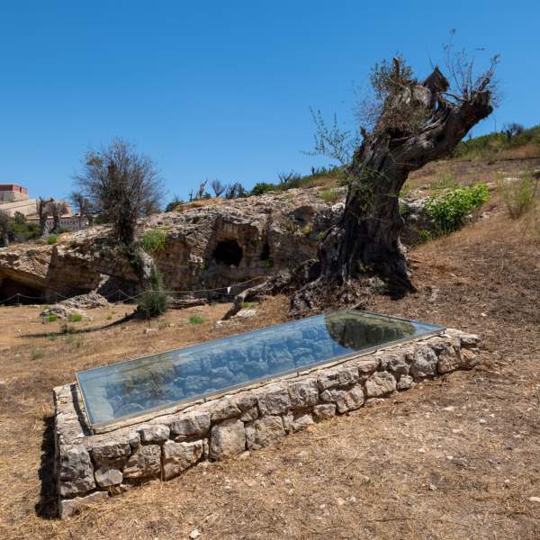 Necrópole de Puig des Molins
