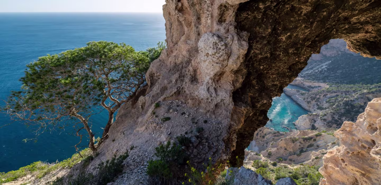 Pinheiros e costa mediterrânica de Ibiza