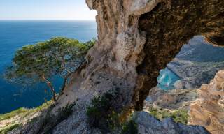 Mediterrane Natur auf Ibiza mit Pinienwäldern und Blick auf das kristallklare Mittelmeer.