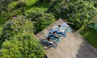 Vista aérea de um grupo de pessoas a praticar ioga numa plataforma de madeira rodeada de vegetação exuberante e flores, num ambiente natural e tranquilo de Ibiza, ideal para atividades de bem-estar ao ar livre.