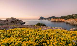 Vegetação no sopé das falésias de Ibiza, virada para o Mar Mediterrâneo, ao pôr-do-sol.