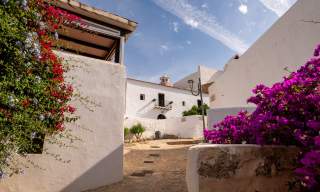 Ein Dorf auf Ibiza im Frühling, mit Blumen in allen Farben, weiß getünchten Häusern und blauem Himmel.