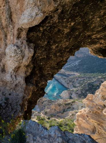 Naturaleza mediterránea en Ibiza con pinos y vistas al mar Mediterráneo cristalino.