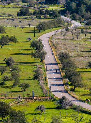 Uma estrada sinuosa atravessa a paisagem rural do interior de Ibiza, rodeada por campos verdejantes, amendoais, oliveiras e pinhais, refletindo a tranquilidade e a beleza natural da ilha.