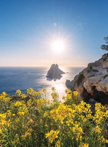 Paisagem costeira de Ibiza com flores silvestres amarelas em primeiro plano, falésias calcárias e a ilha de Es Vedrà em segundo plano, iluminadas pelo sol sobre o Mar Mediterrâneo sob um céu completamente limpo.