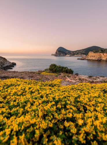 Vegetação no sopé das falésias de Ibiza, virada para o Mar Mediterrâneo, ao pôr-do-sol.