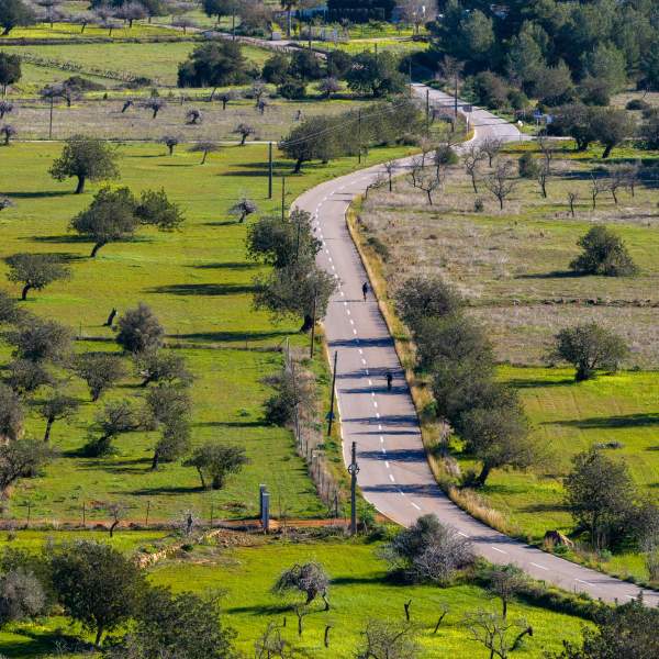 Uma estrada sinuosa atravessa a paisagem rural do interior de Ibiza, rodeada por campos verdejantes, amendoais, oliveiras e pinhais, refletindo a tranquilidade e a beleza natural da ilha.