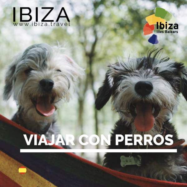 Capa de um folheto sobre viagens com cães.