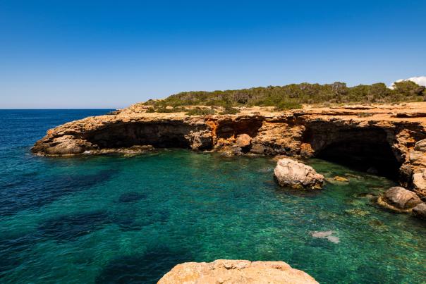 Mar Mediterráneo y fondo de posidonia oceánica bajo acantilados en Ibiza