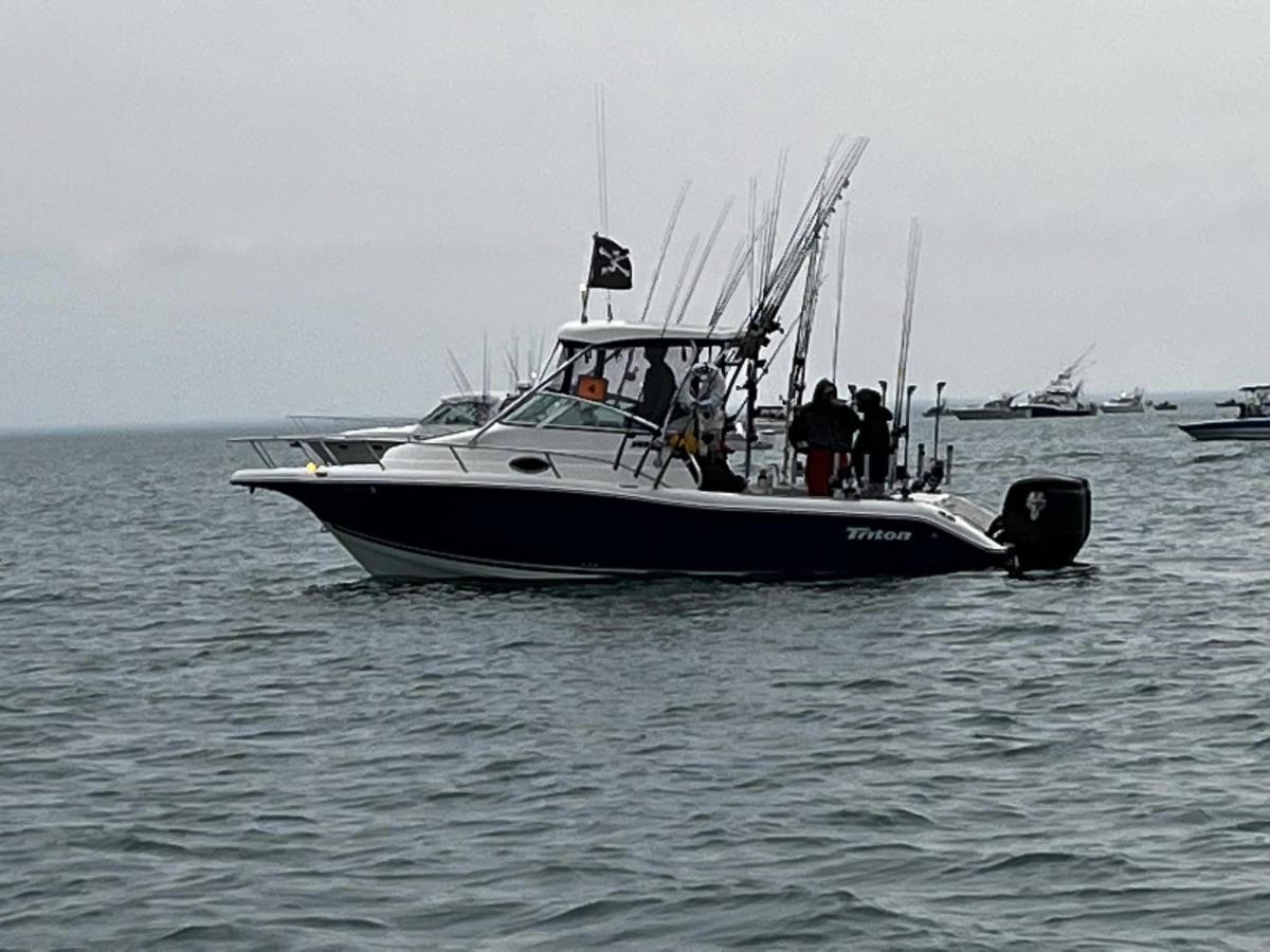 Angry Pirate Charters