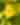 A yellow flower against a green background