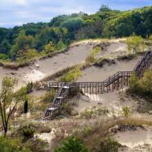 Elevated view of a large sand dune with a wooden staircase and surrounding tree cover at Indiana Dunes National Park