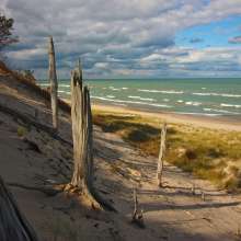 Weathered driftwood on the sandy beach at Indiana Dunes with Lake Michigan and dramatic clouds in the background