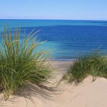 Beach grass on a sand dune framing a view of bright blue Lake Michigan water and clear sky at Indiana Dunes