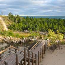 Wooden staircase descending through dense tree cover toward the beach at Indiana Dunes