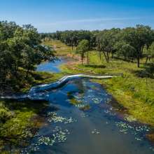 A boardwalk crosses over a waterway. Woods are seen on each side of the waterway.
