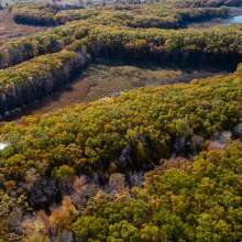 An aerial view of Cowles Bog