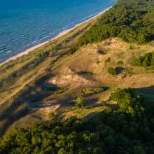 Aerial view of green vegetation on dunes near the blue water