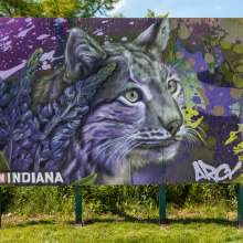 Indigenous Cultural Trail ARCY Murals