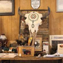 A decorated bison skull hangs on the wall. A table below it holds various bison products.