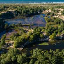 Aerial view of Miller Woods