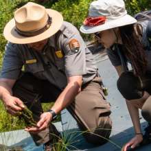 Ranger and volunteer examining flora