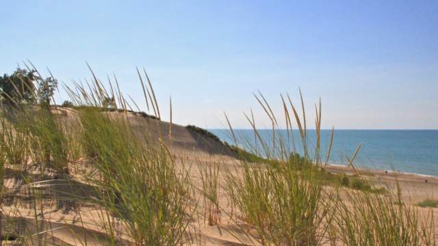 View of Lake and Dunes from amongst the grass