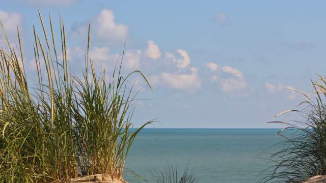 View of the water from amongst the grass