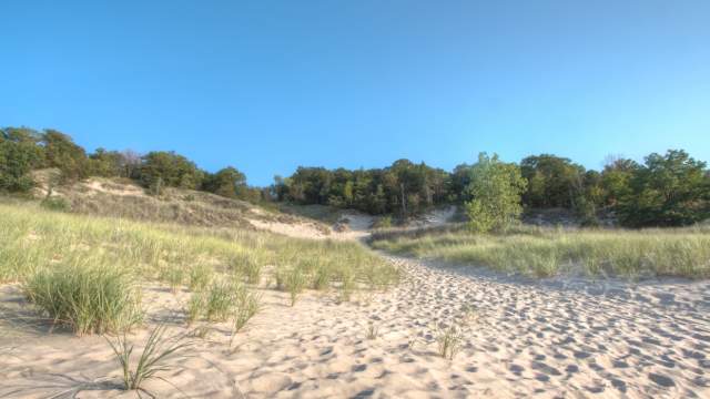 View of the Dunes from the sand