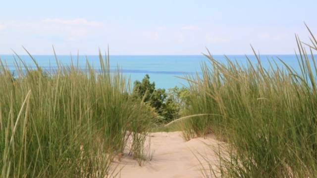 A path through the grass leading to the shore
