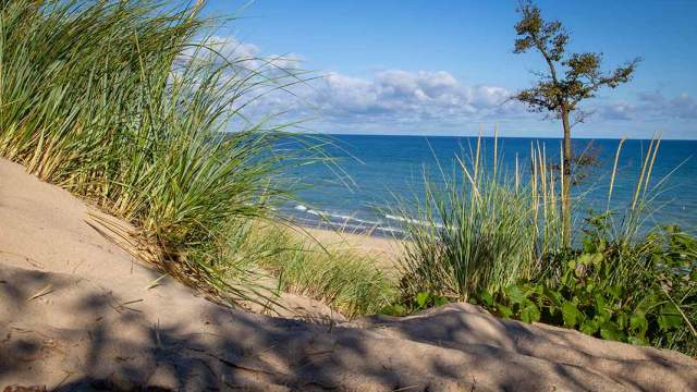 Looking down at the water from the dunes