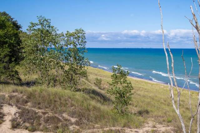 Dunes and beach