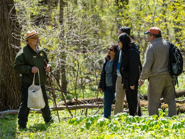 Ranger-led Wildflower Hikes