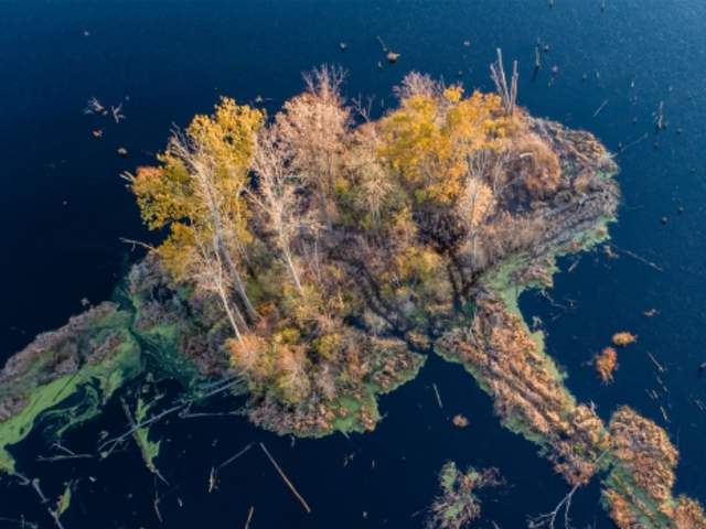 An aerial view of the Great Marsh Wetlands