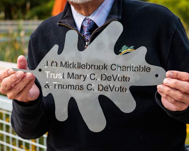 ICT_Drew_with_Leaf_vyz2bq