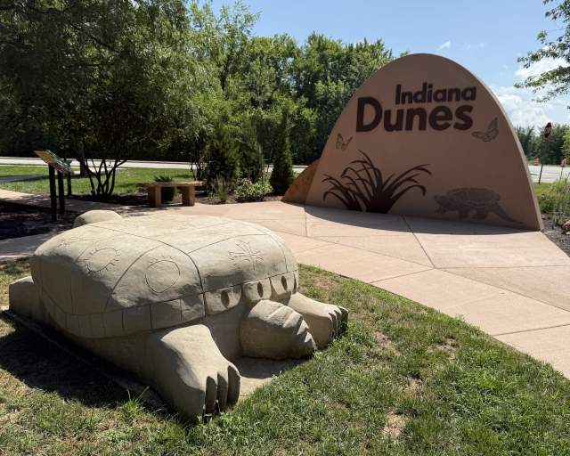 ICT_Turtle_Sculpture_bxav4z