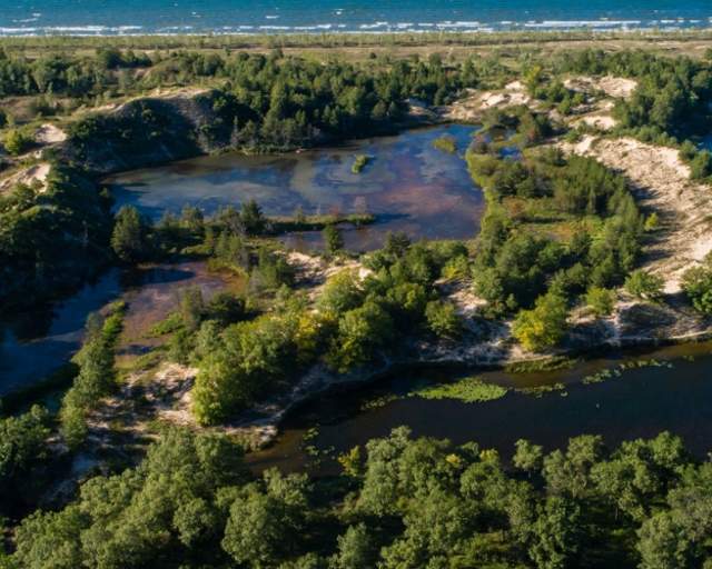 Aerial view of Miller Woods